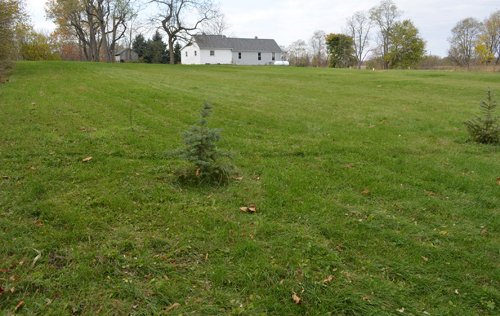 Home View - 1,540 sq. ft. Ranch Style Country Home on Nearly 3 Acres